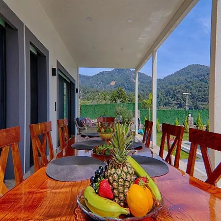 With Private Pool And Sea View In Goecek, Villa *