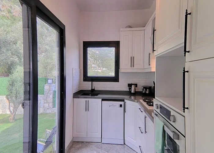 Villa With Private Pool And Sea View In Goecek, *