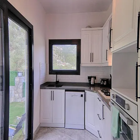 ヴィラ With Private Pool And Sea View In Goecek, *