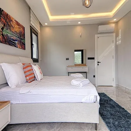 ヴィラ With Private Pool And Sea View In Goecek, *